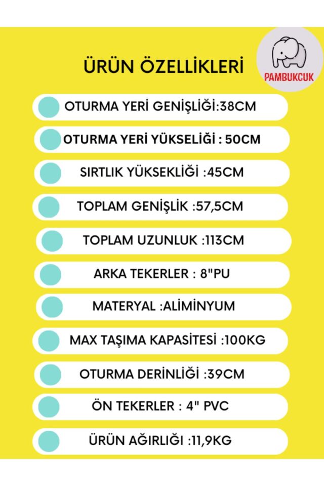 Golfi G458C Cerebral Palsy Pediatrik (Çocuk) Tekerlekli Sandalye