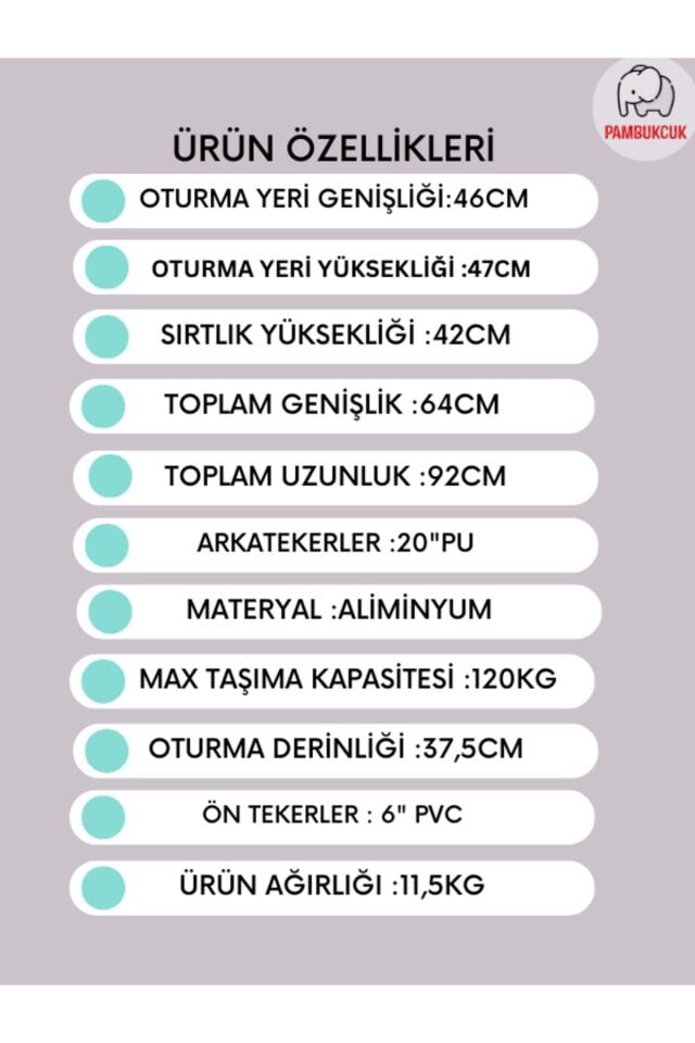 Golfi G503 Alüminyum Transfer Sandalyesi